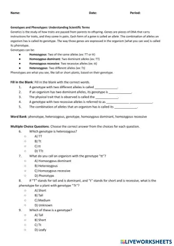 worksheet tumbnail
