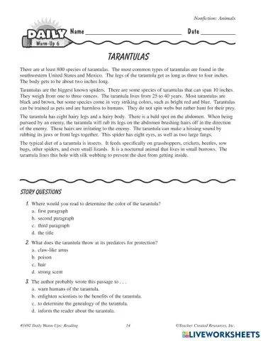 worksheet tumbnail