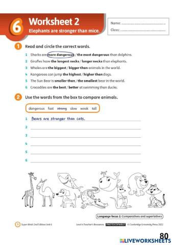 worksheet tumbnail