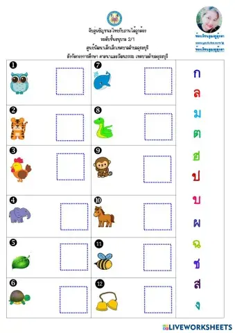 worksheet tumbnail