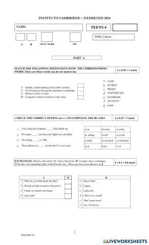 worksheet tumbnail