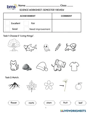 worksheet tumbnail