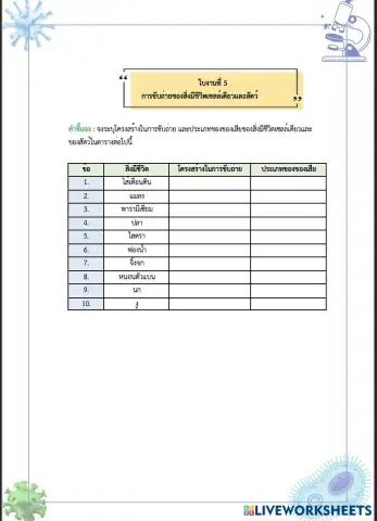 worksheet tumbnail