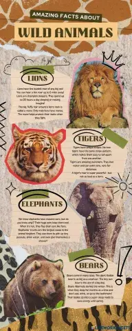 L3B Animal Fact Sheet (1).pdf