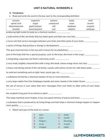 worksheet tumbnail
