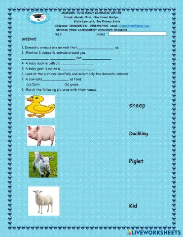 worksheet tumbnail