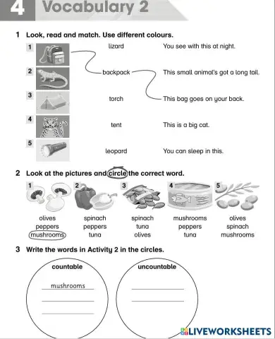 worksheet tumbnail