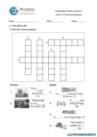 worksheet tumbnail