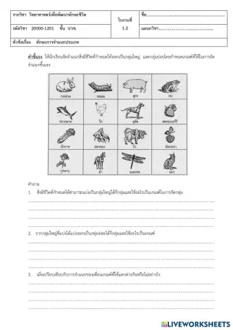 worksheet tumbnail
