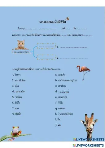 worksheet tumbnail