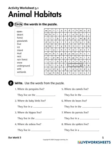 worksheet tumbnail