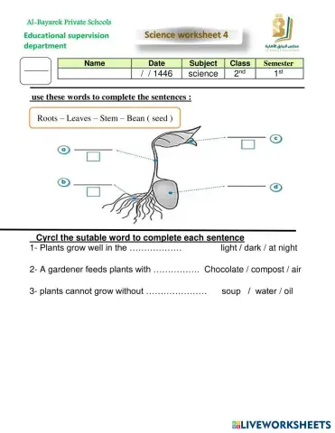 worksheet tumbnail