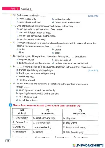 worksheet tumbnail