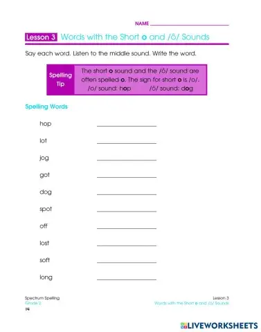 worksheet tumbnail