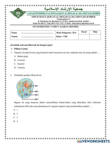 worksheet tumbnail