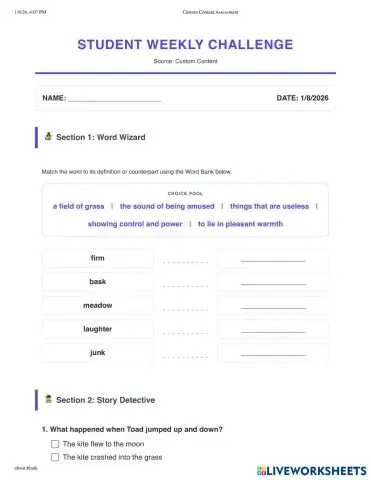 Custom%20Content%20Assessment.pdf