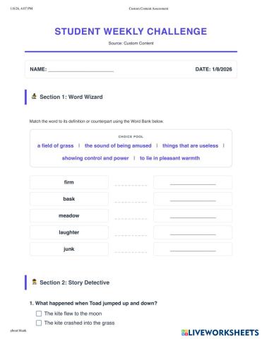 Custom%20Content%20Assessment.pdf