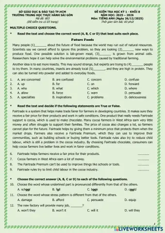 E08-First Term-THSG-25-26 (Live).pdf