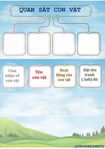 LUYỆN TẬP (2).pdf