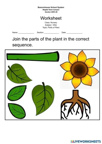 worksheet KNU W3.pdf