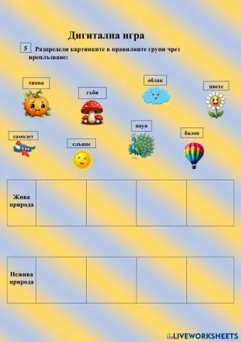 Дигитална игра.pdf