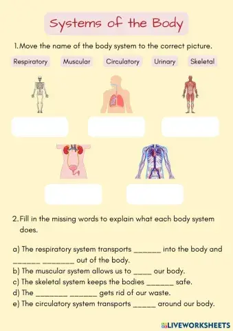 Systems on the Body.pdf
