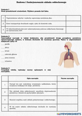 BIO_PP_2._5._4._Budowa_i_funkcjonowanie_uk__adu_oddechowego.pdf