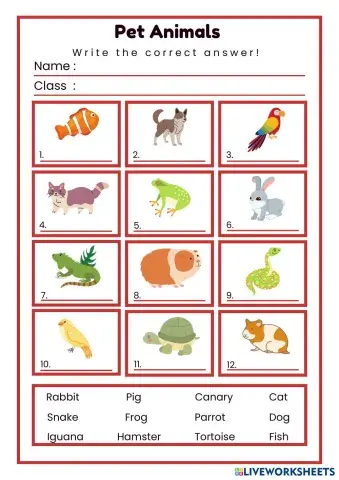 Colorful_Illustrative_Pet_Animals_Worksheet.pdf