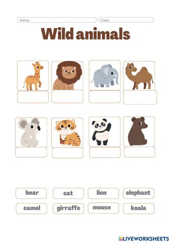 Wild Animals Worksheet_20260102_100643_0000.pdf