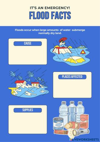 LESSON_5_FLOOD_POSTER.pdf
