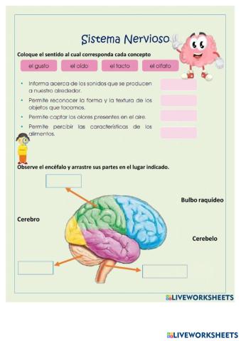 worksheet_781298.pdf