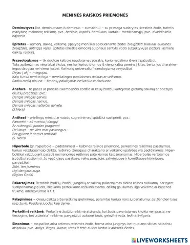 menines-raiskos-priemones (1).pdf