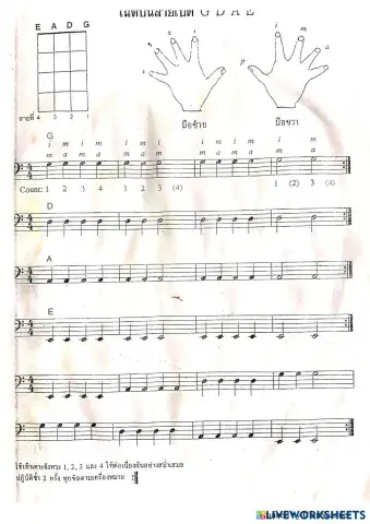 แบบฝึก bass.pdf