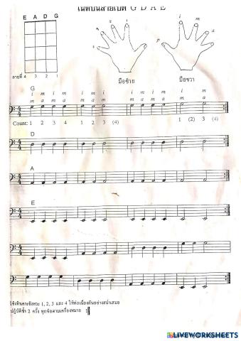 แบบฝึก bass.pdf