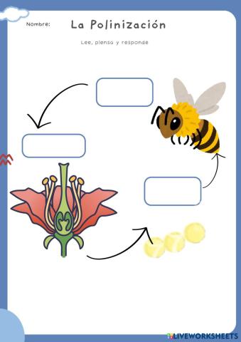 Ficha_de_ejercicios_sobre_el_aeropuerto_ilustrativo_colorido_azul.pdf