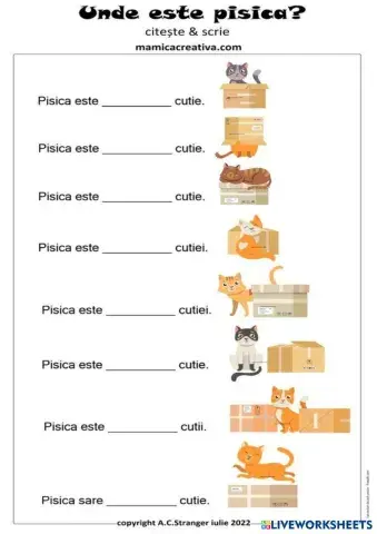 SCRIE UNDE SE AFLA.pdf