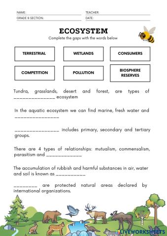 Food_Web_Worksheet.pdf