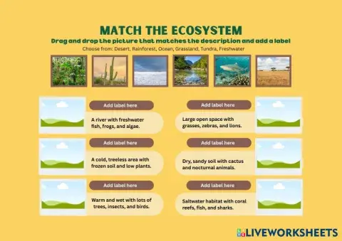 Ecosystem_Matching-Digital_Worksheet_in_simple_yellow_style.pdf