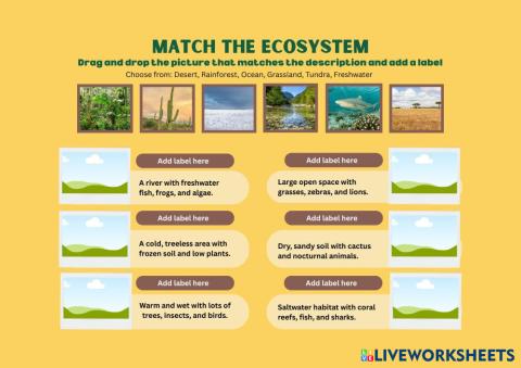 Ecosystem_Matching-Digital_Worksheet_in_simple_yellow_style.pdf