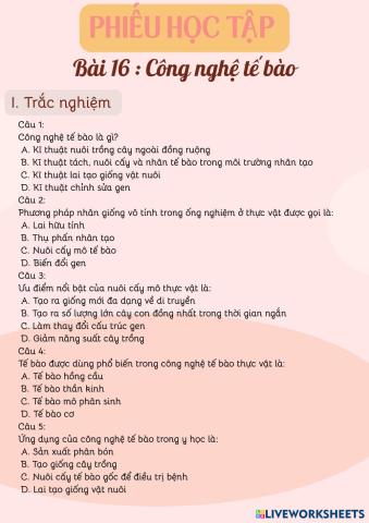 Phi___u_h___c_t___p.pdf