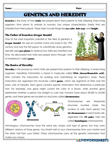 Kami Export - o6IlPO53FQwK1vk3BRhWDA.pdf