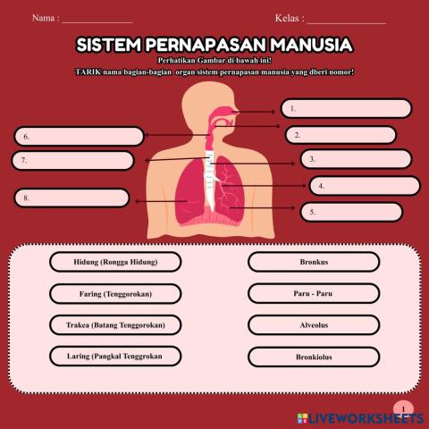 LKPD Liveworksheet (1).pdf