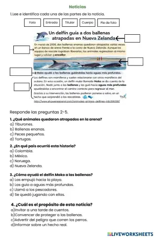 Noticias_taller_online_pdf.pdf