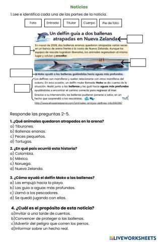 Noticias_taller_online_pdf.pdf