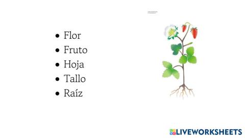 A__ade_algo_de_texto.pdf