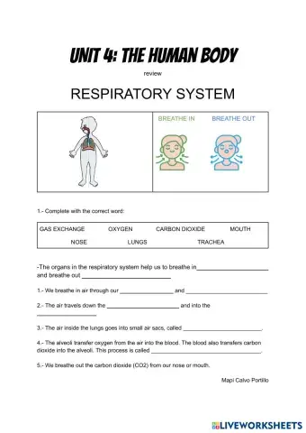 RESPIRATORY SYSTEM.pdf