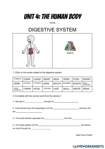 DIGESTIVE SYSTEM.pdf