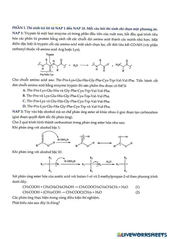 Đề sở NB online lần 2_1.pdf