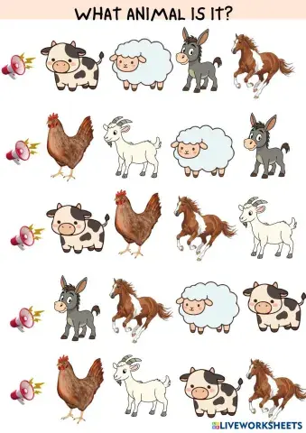 WHAT_ANIMAL_IS_IT_.pdf