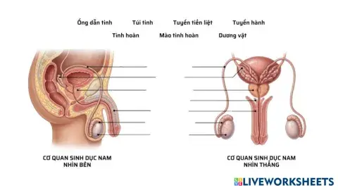 KHTN_8_Sinh_s___n_____ng_____i.pdf
